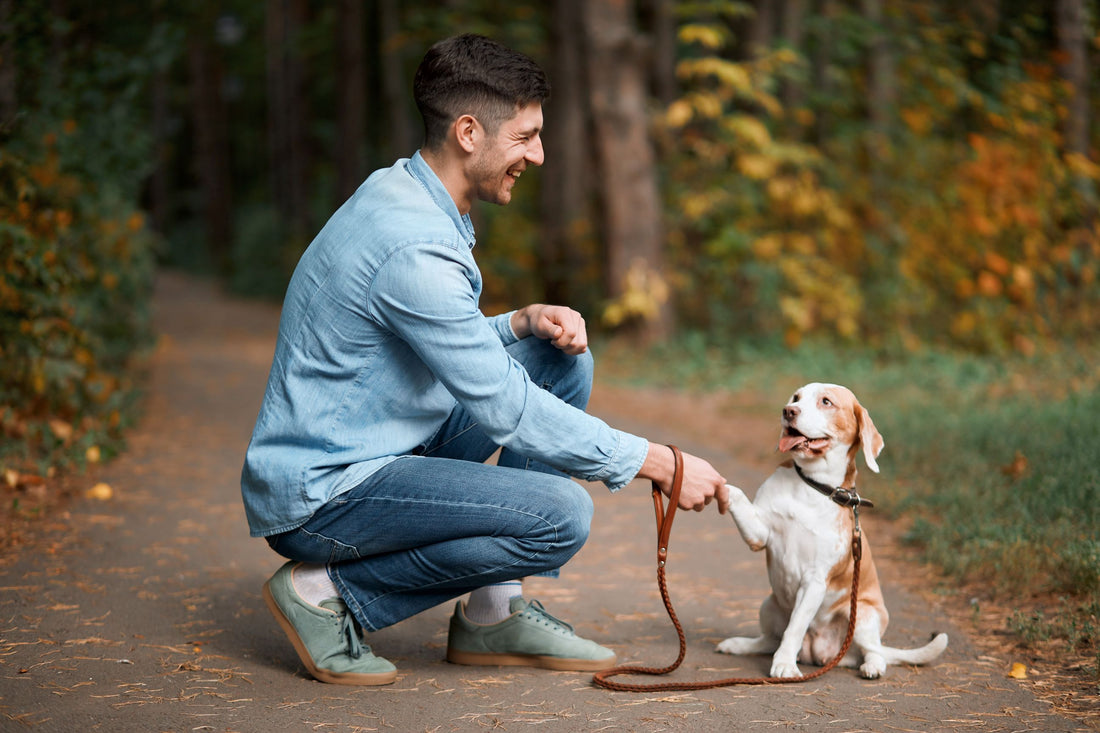 Entrenar a Tu Perro con Refuerzo Positivo: ¿Por Qué es la Mejor Opción?